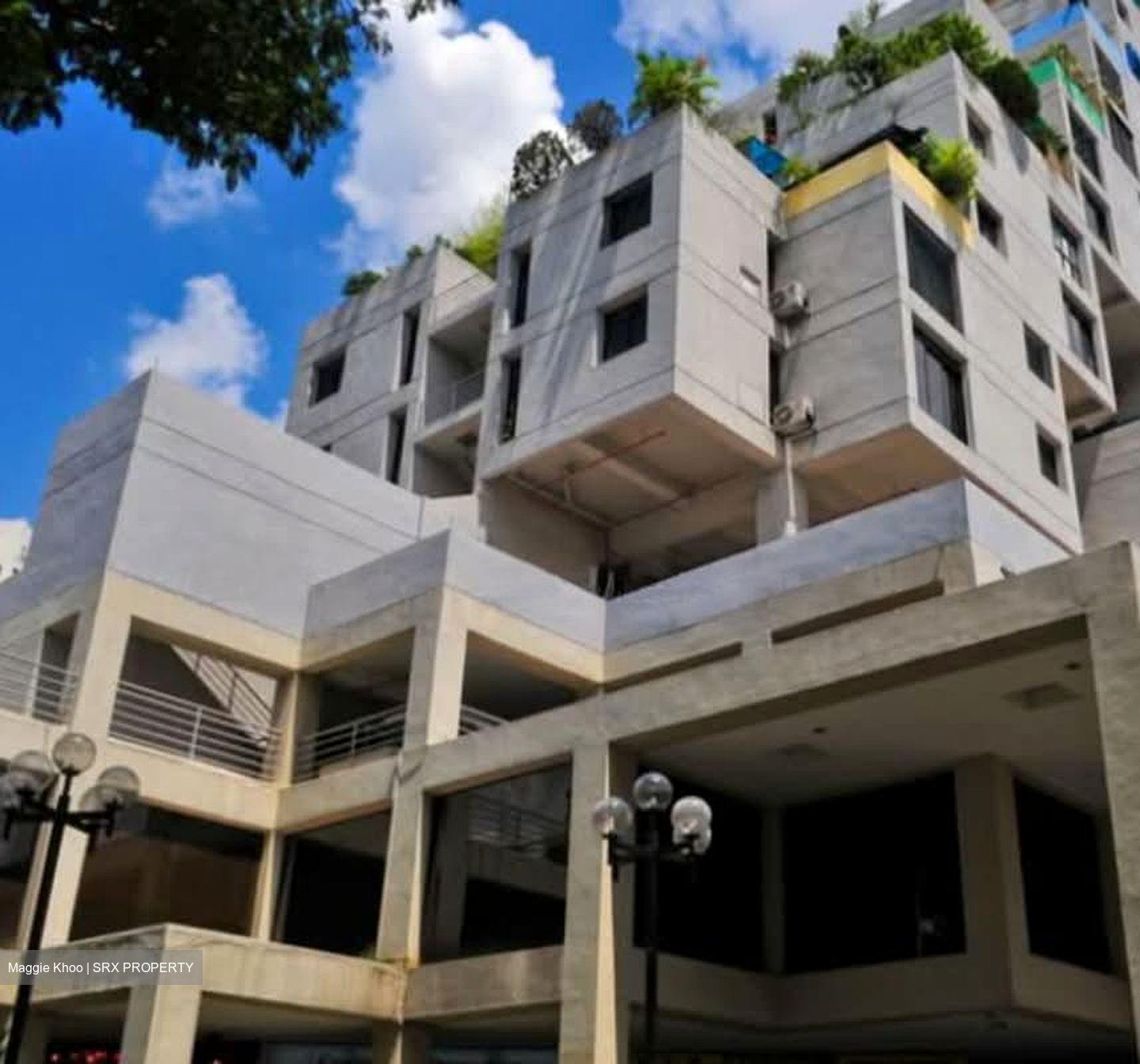 Balestier Point (D12), Shop House #557134961